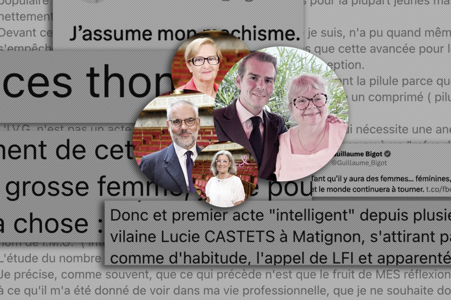 Ces élus RN antiféministes à la délégation aux droits des femmes